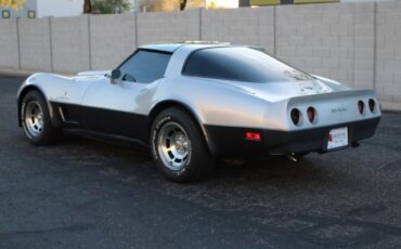 Chevrolet-Corvette-1982-Silver-Gray-21