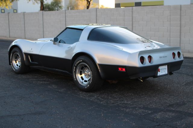 Chevrolet-Corvette-1982-Silver-Gray-21