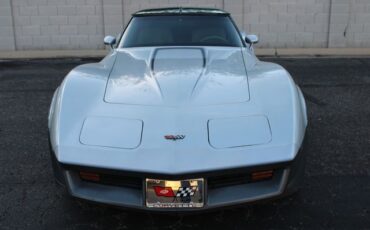 Chevrolet-Corvette-1982-Silver-Gray-23