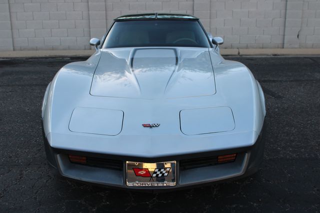 Chevrolet-Corvette-1982-Silver-Gray-23