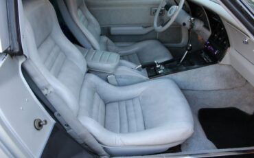 Chevrolet-Corvette-1982-Silver-Gray-24
