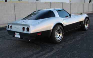 Chevrolet-Corvette-1982-Silver-Gray-25