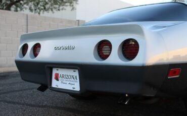 Chevrolet-Corvette-1982-Silver-Gray-26