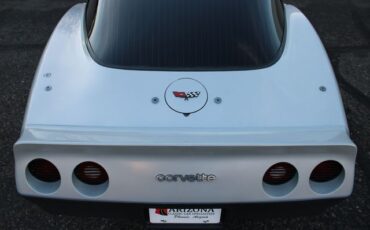 Chevrolet-Corvette-1982-Silver-Gray-27