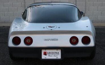 Chevrolet-Corvette-1982-Silver-Gray-28