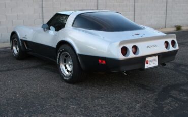 Chevrolet-Corvette-1982-Silver-Gray-29