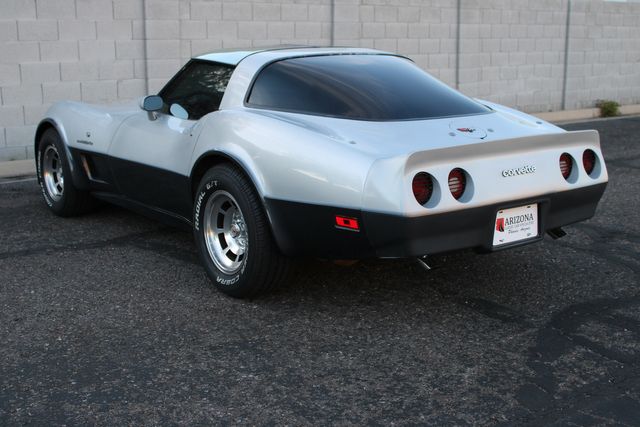Chevrolet-Corvette-1982-Silver-Gray-29