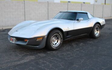 Chevrolet-Corvette-1982-Silver-Gray-3