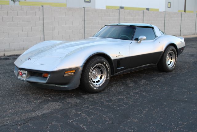Chevrolet-Corvette-1982-Silver-Gray-3