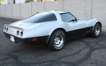 Chevrolet-Corvette-1982-Silver-Gray-30