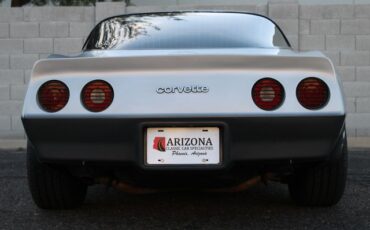 Chevrolet-Corvette-1982-Silver-Gray-31