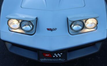 Chevrolet-Corvette-1982-Silver-Gray-32