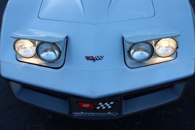 Chevrolet-Corvette-1982-Silver-Gray-32