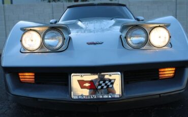 Chevrolet-Corvette-1982-Silver-Gray-33