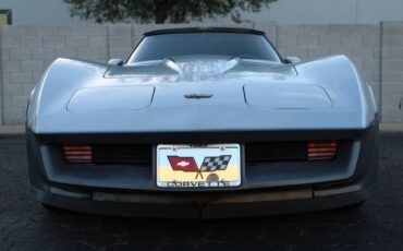 Chevrolet-Corvette-1982-Silver-Gray-4