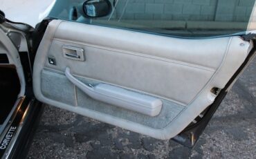 Chevrolet-Corvette-1982-Silver-Gray-42