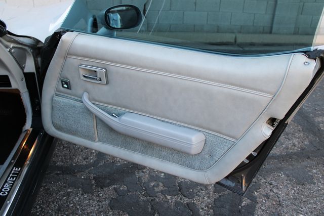 Chevrolet-Corvette-1982-Silver-Gray-42