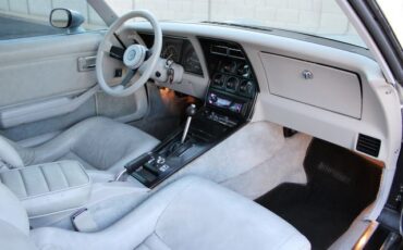 Chevrolet-Corvette-1982-Silver-Gray-43