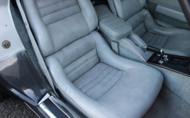 Chevrolet-Corvette-1982-Silver-Gray-6