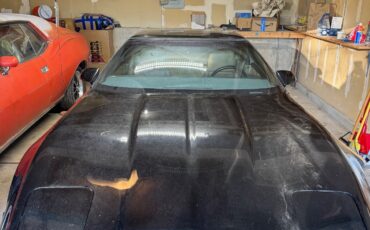 Chevrolet-Corvette-1984-Coupe-10