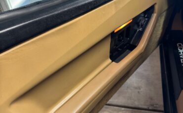 Chevrolet-Corvette-1984-Coupe-6