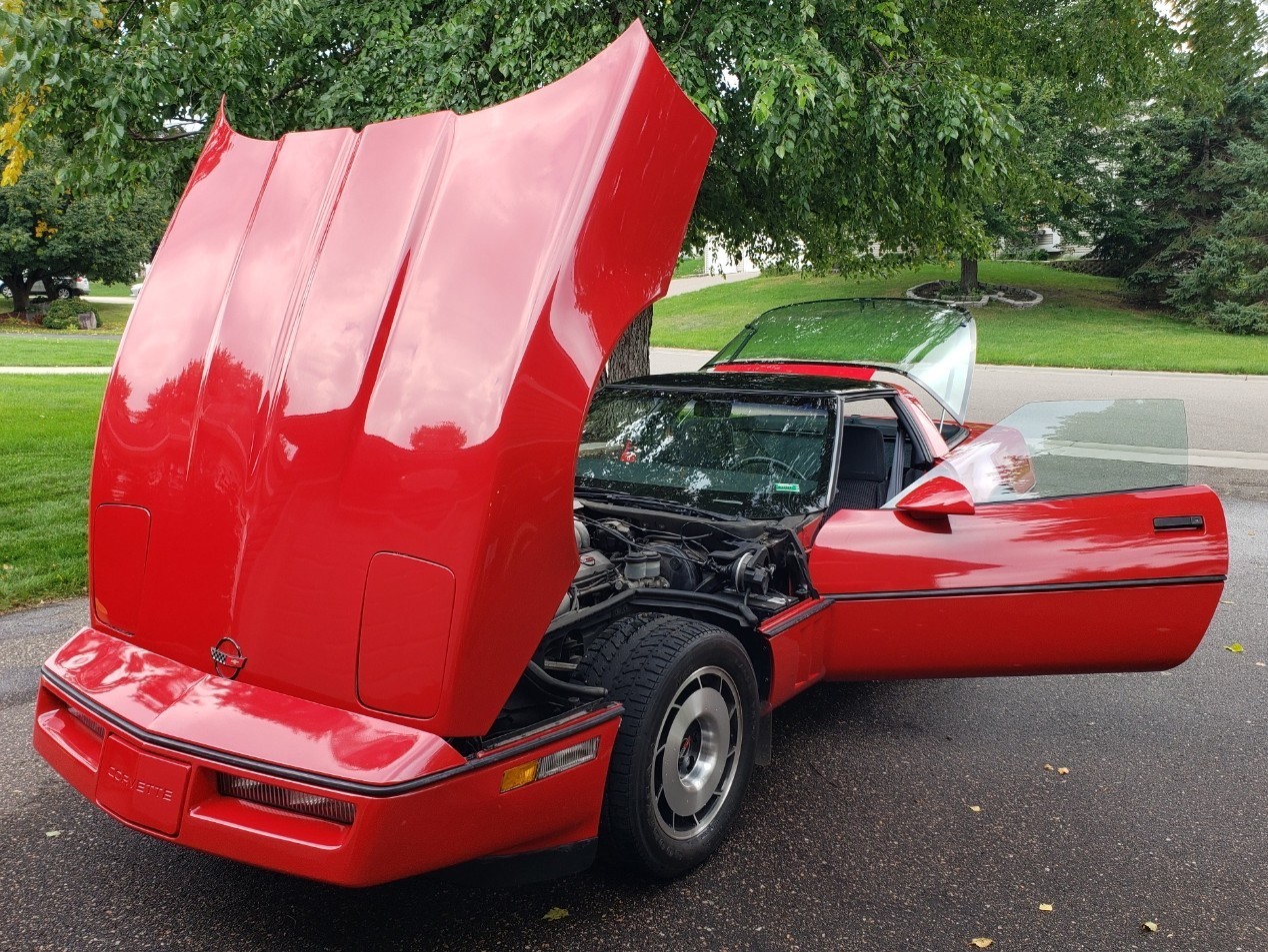 Chevrolet-Corvette-1985-Hatchback-10