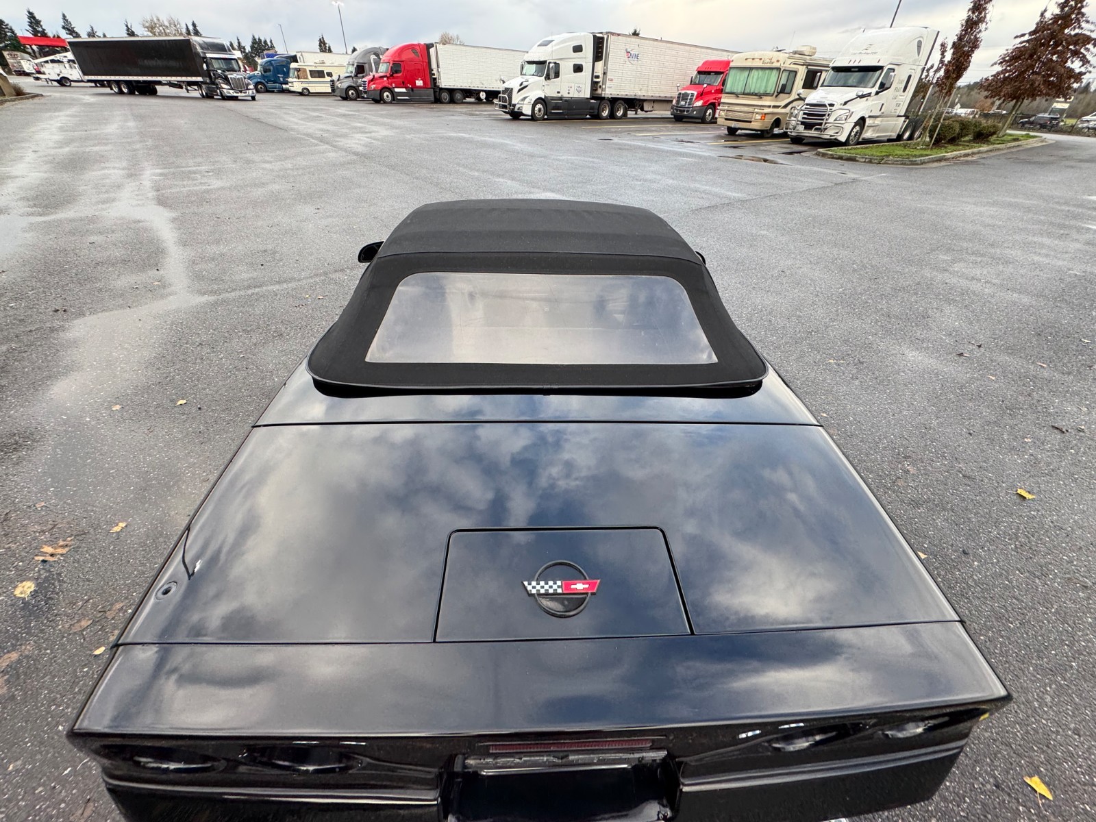 Chevrolet-Corvette-1986-Convertible-4