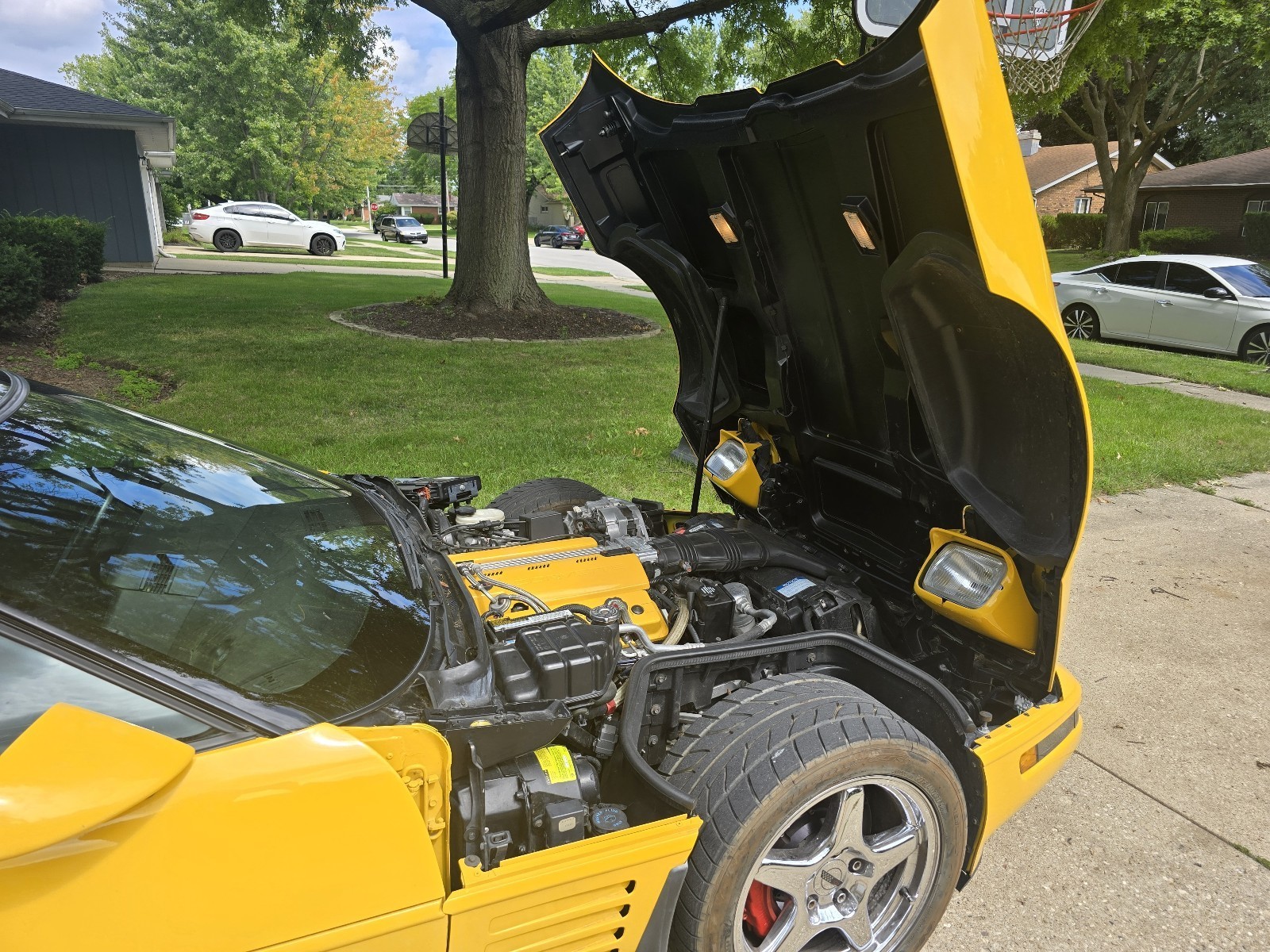 Chevrolet-Corvette-1993-Hatchback-28