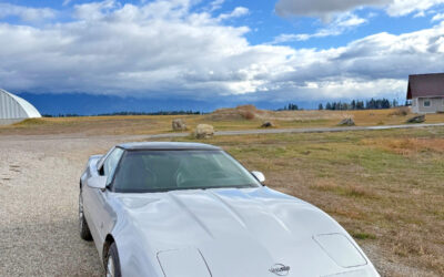Chevrolet Corvette 1996 Convertible