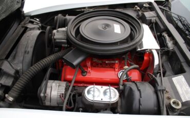 Chevrolet-Corvette-L-48-1975-Coupe-14