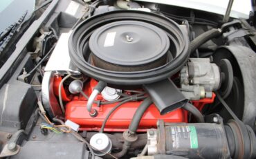 Chevrolet-Corvette-L-48-1975-Coupe-17