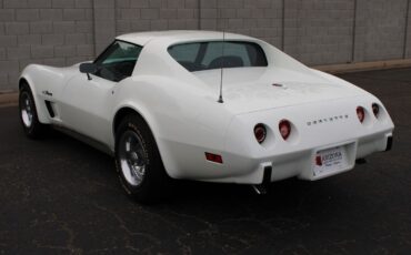 Chevrolet-Corvette-L-48-1975-Coupe-31