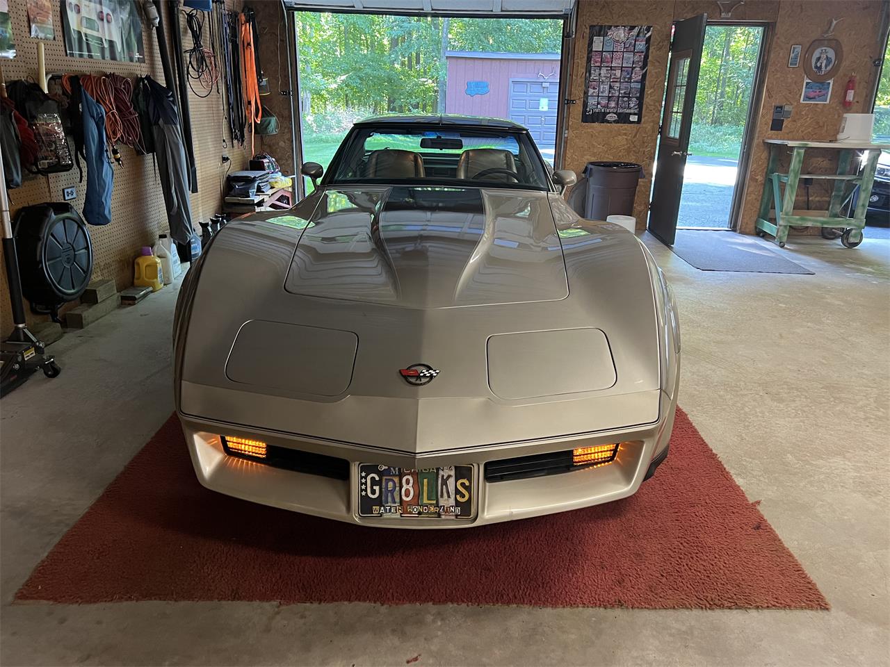 Chevrolet-Corvette-c3-collectors-edition-1982-SilverBeige-SilverBeige-1