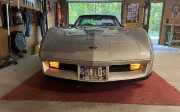 Chevrolet-Corvette-c3-collectors-edition-1982-SilverBeige-SilverBeige-10