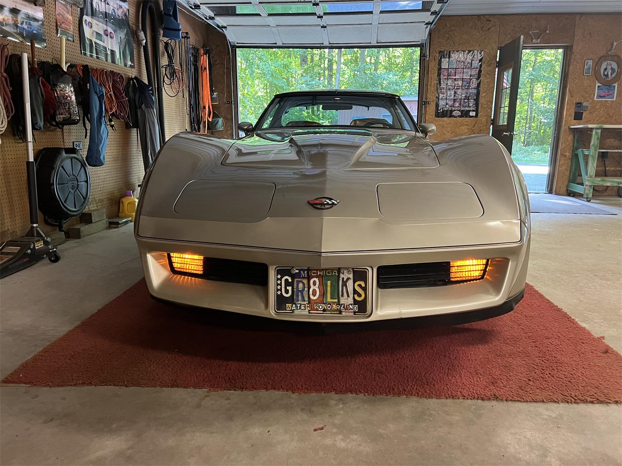 Chevrolet-Corvette-c3-collectors-edition-1982-SilverBeige-SilverBeige-10