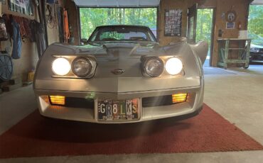 Chevrolet-Corvette-c3-collectors-edition-1982-SilverBeige-SilverBeige-11