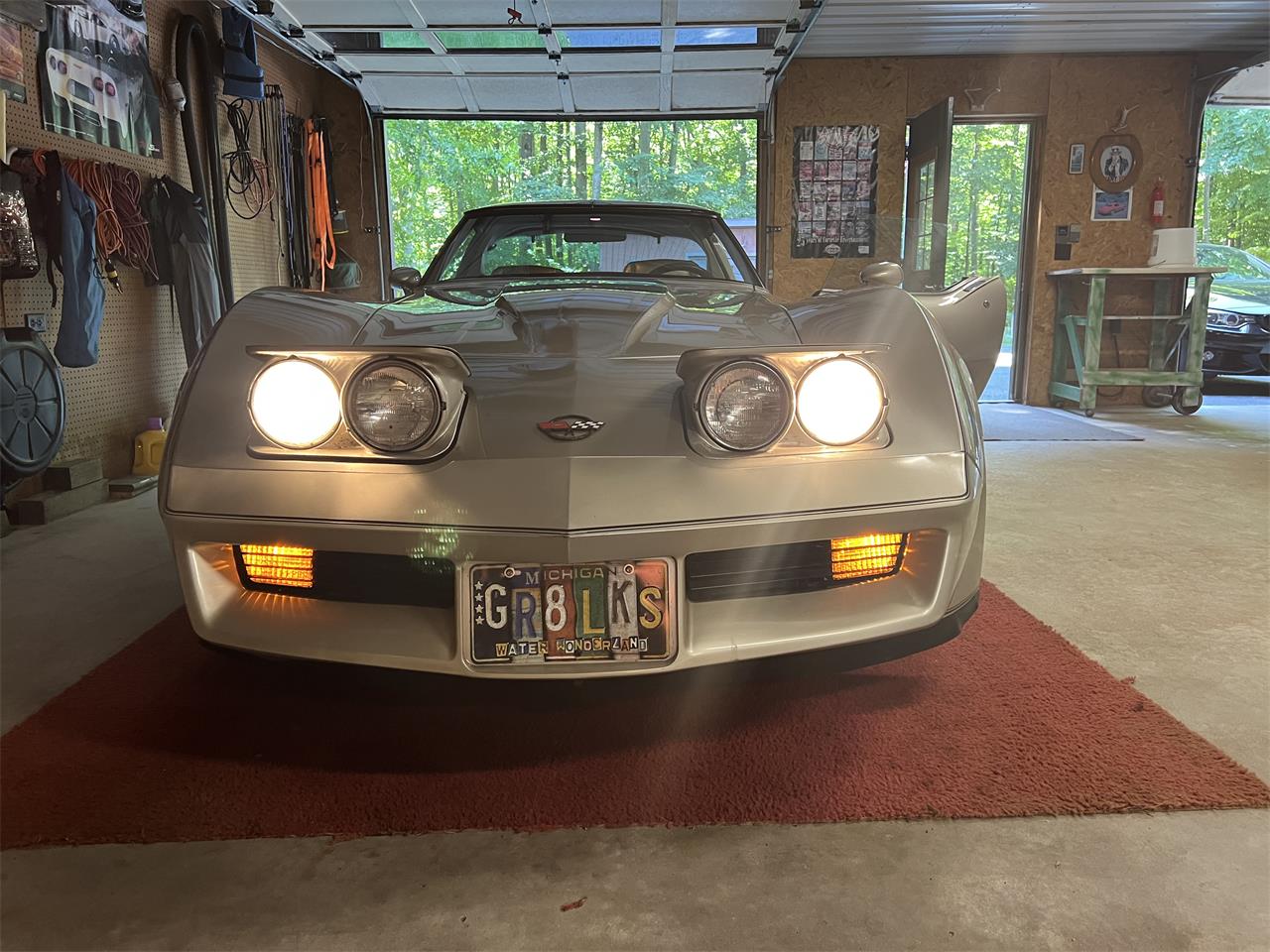 Chevrolet-Corvette-c3-collectors-edition-1982-SilverBeige-SilverBeige-11