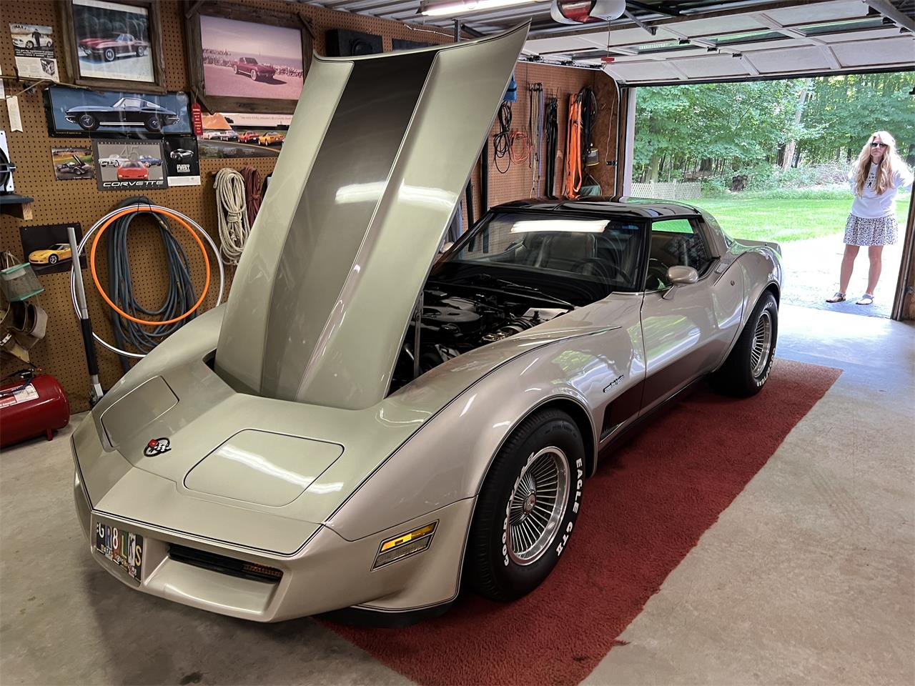 Chevrolet-Corvette-c3-collectors-edition-1982-SilverBeige-SilverBeige-12