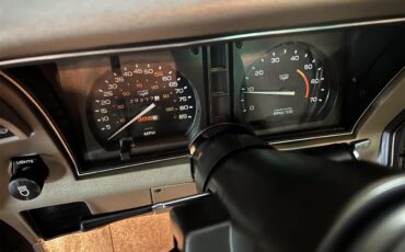 Chevrolet-Corvette-c3-collectors-edition-1982-SilverBeige-SilverBeige-16