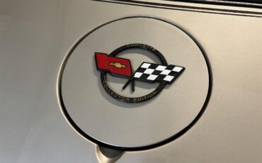 Chevrolet-Corvette-c3-collectors-edition-1982-SilverBeige-SilverBeige-17