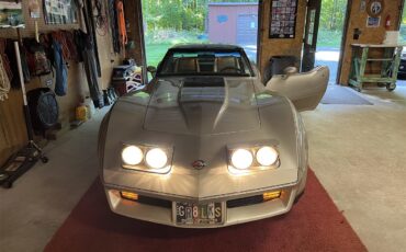 Chevrolet-Corvette-c3-collectors-edition-1982-SilverBeige-SilverBeige-2