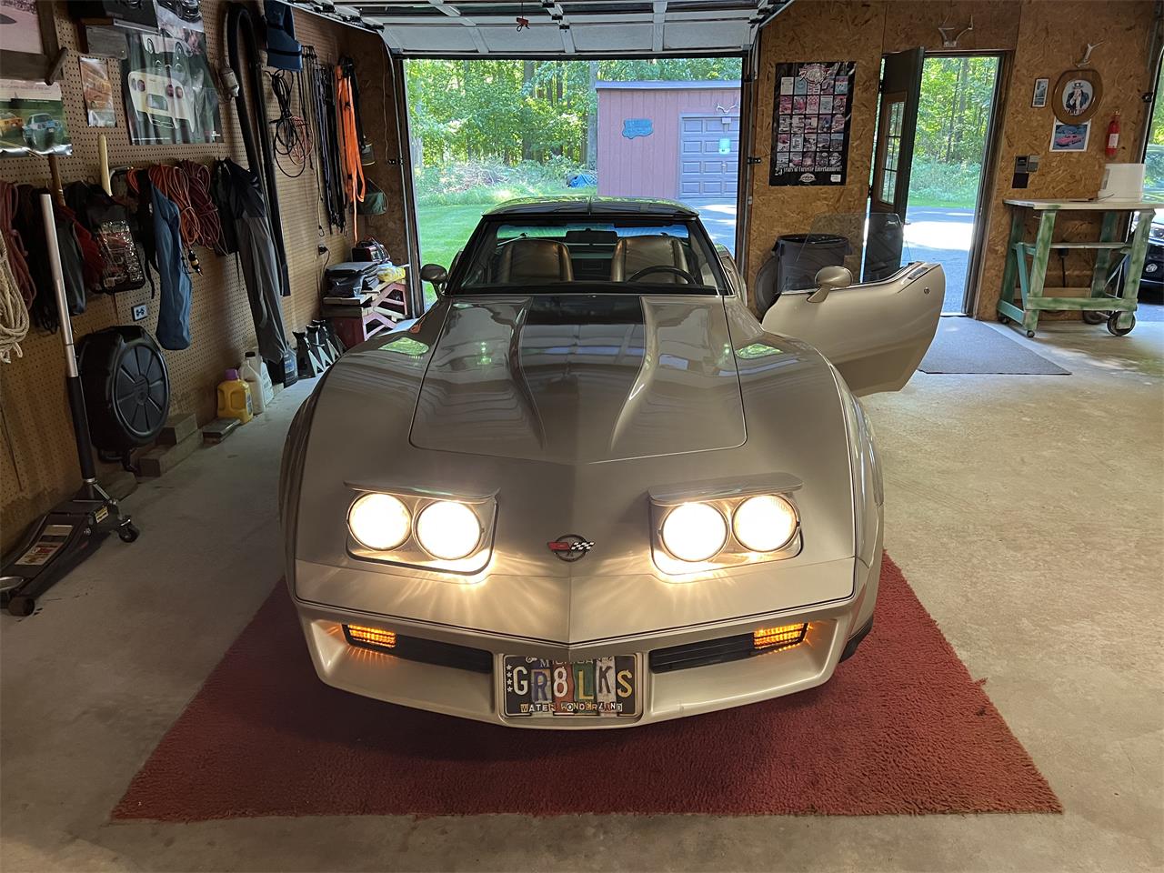 Chevrolet-Corvette-c3-collectors-edition-1982-SilverBeige-SilverBeige-2