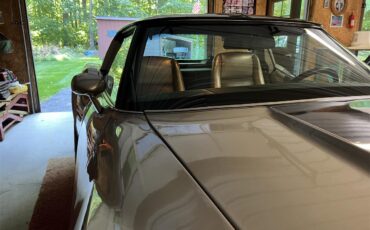 Chevrolet-Corvette-c3-collectors-edition-1982-SilverBeige-SilverBeige-3