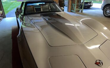 Chevrolet-Corvette-c3-collectors-edition-1982-SilverBeige-SilverBeige-4
