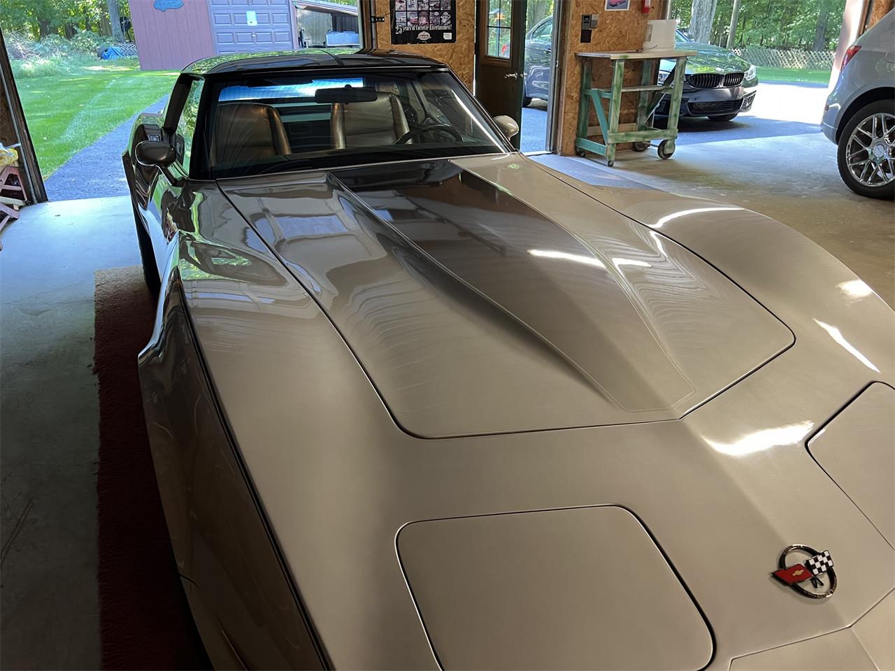 Chevrolet-Corvette-c3-collectors-edition-1982-SilverBeige-SilverBeige-4