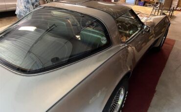 Chevrolet-Corvette-c3-collectors-edition-1982-SilverBeige-SilverBeige-5