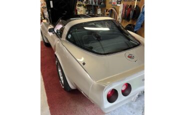 Chevrolet-Corvette-c3-collectors-edition-1982-SilverBeige-SilverBeige-6