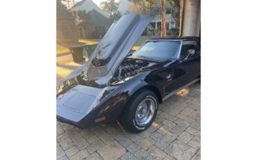 Chevrolet-Corvette-stingray-1973-Black-Black-Leather-1