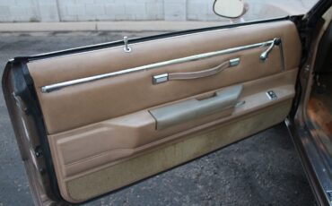 Chevrolet-El-Camino-1982-Pickup-Truck-18