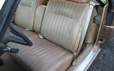 Chevrolet-El-Camino-1982-Pickup-Truck-21